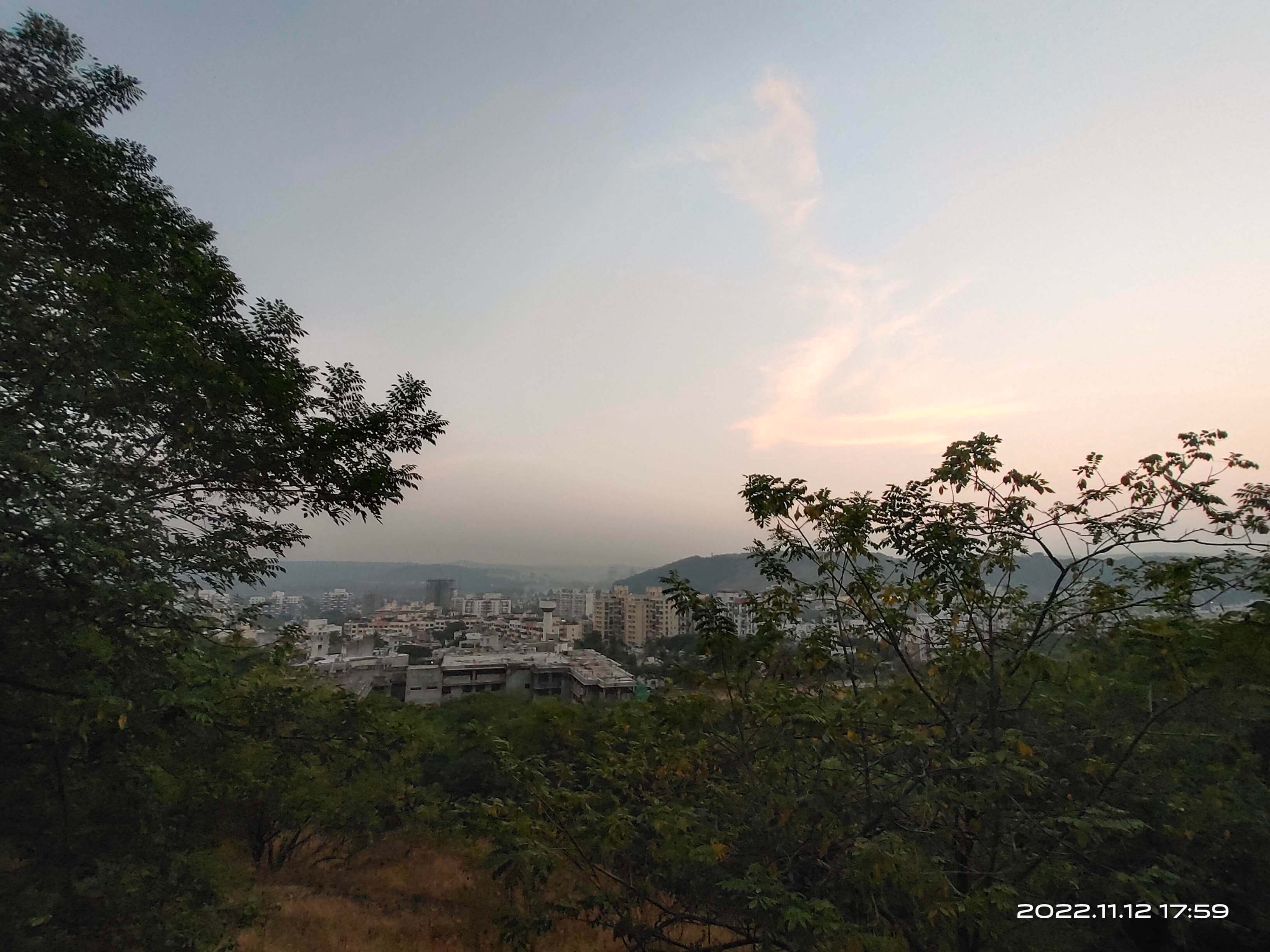The view