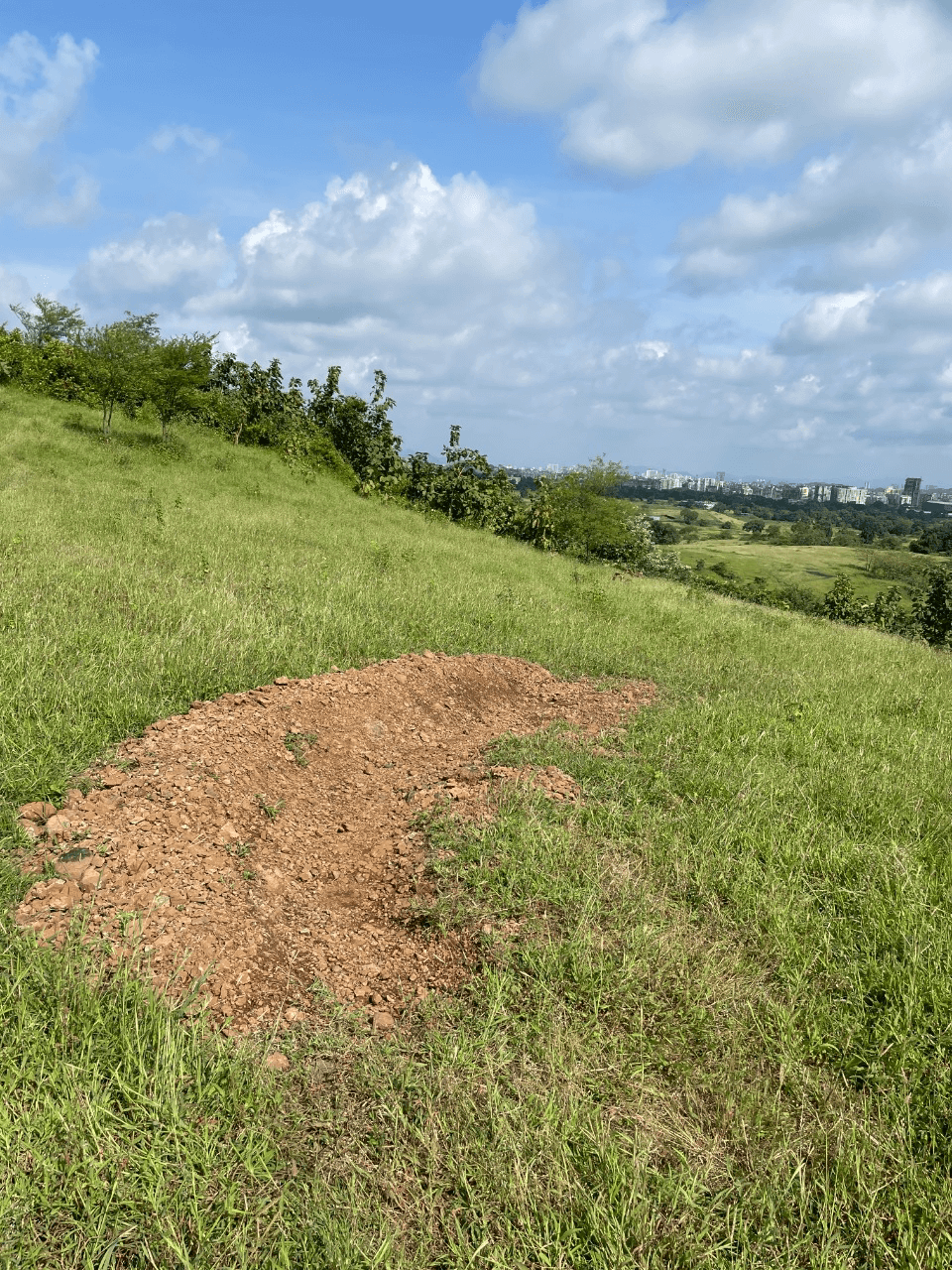 Last Berm