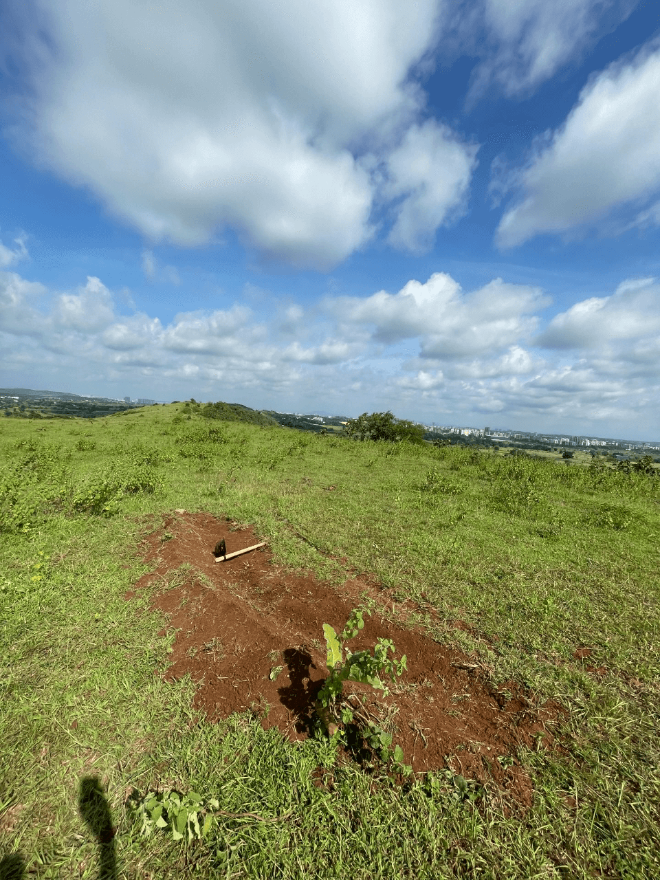 Berm with a shovel 2